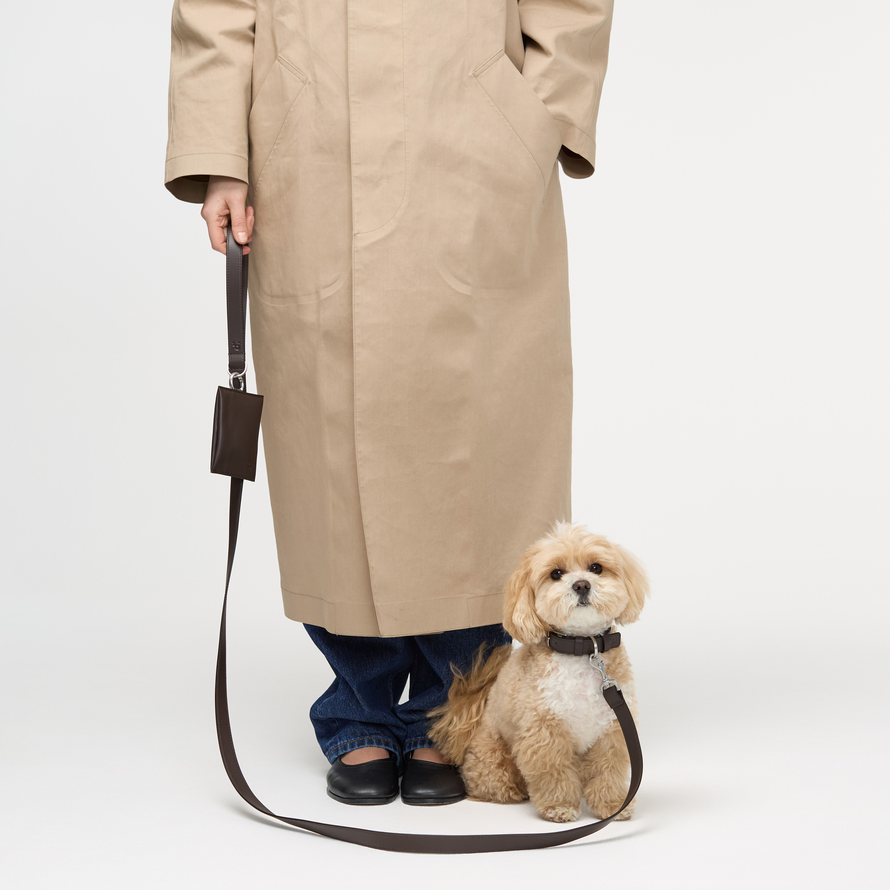 ошейник кожа