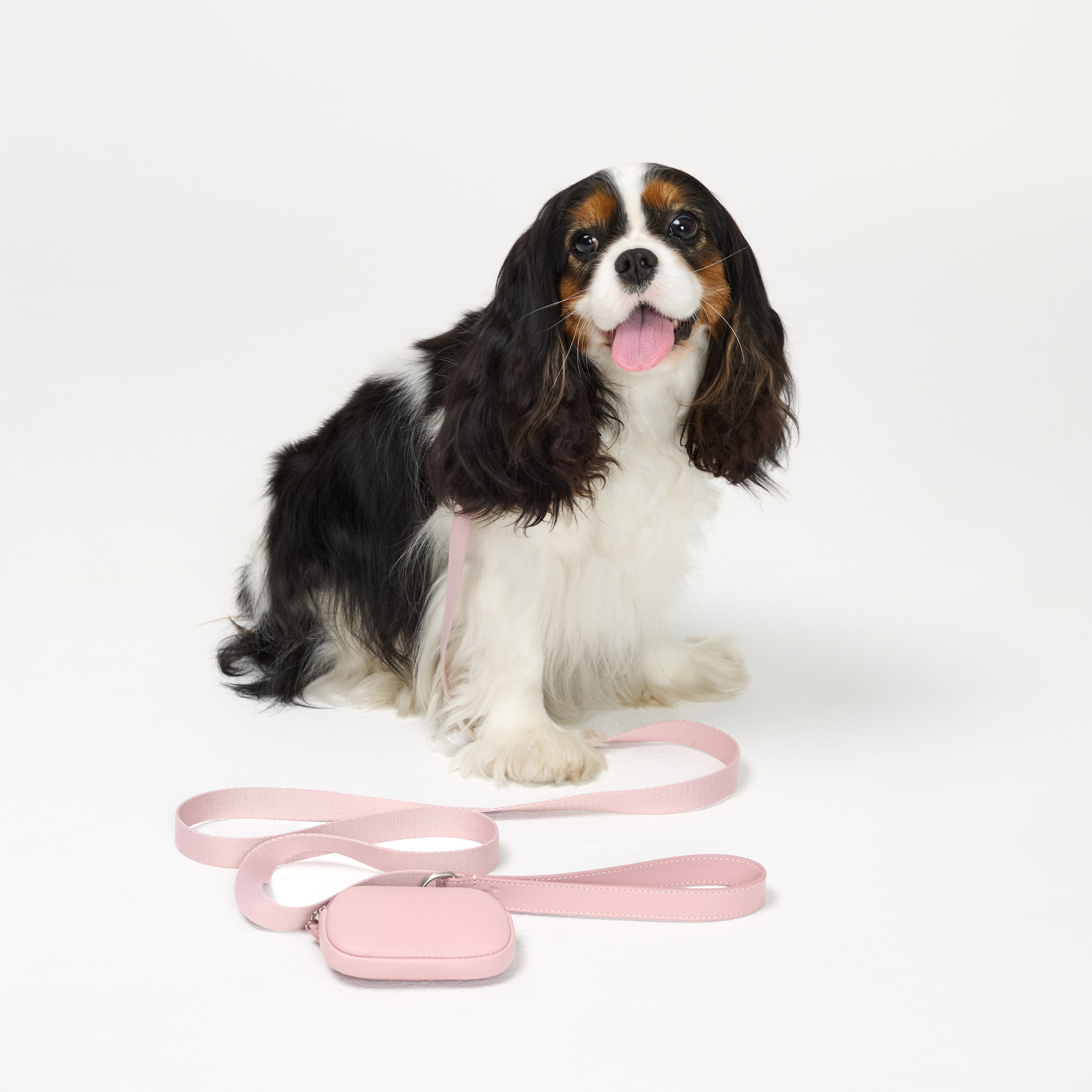 поводок комби