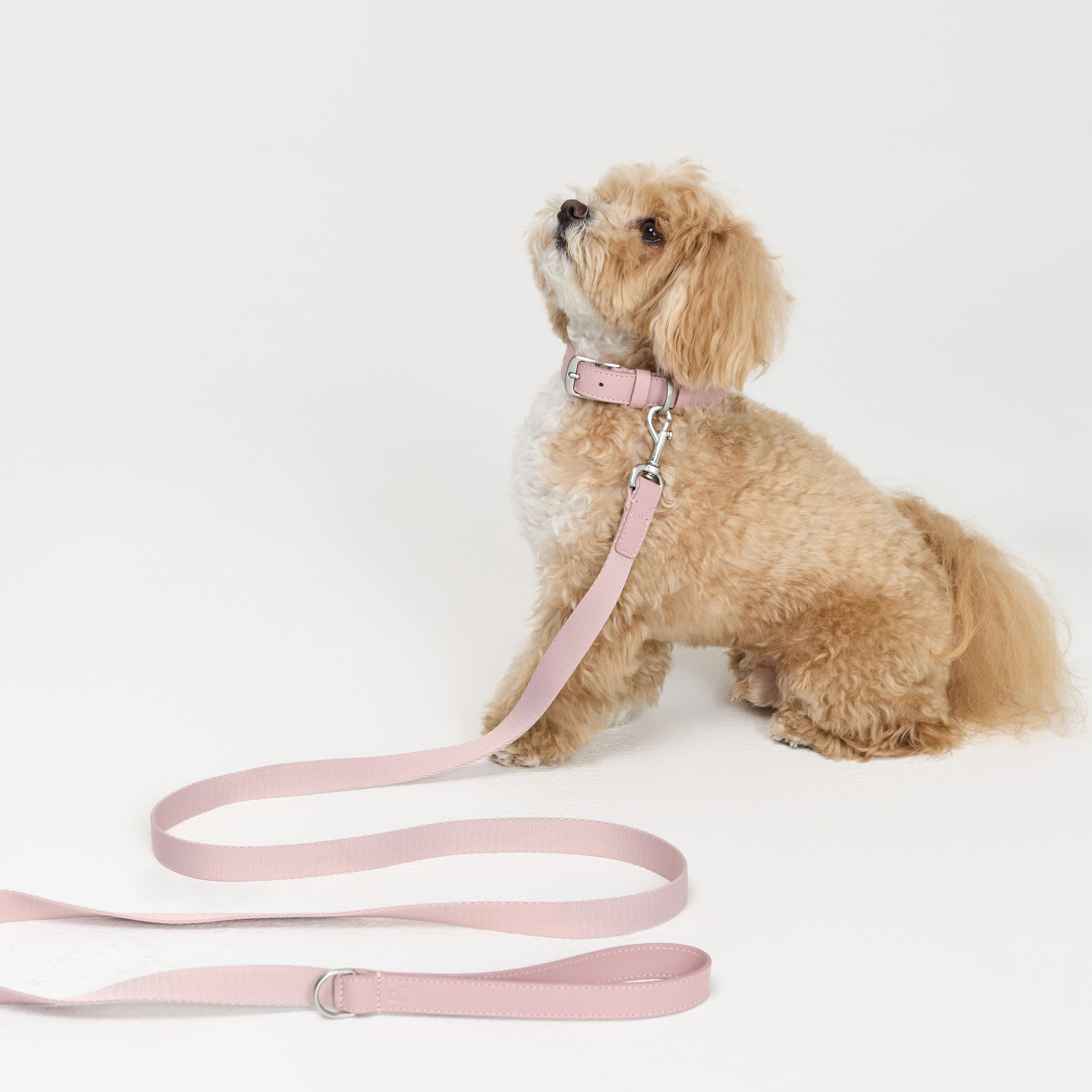 поводок комби