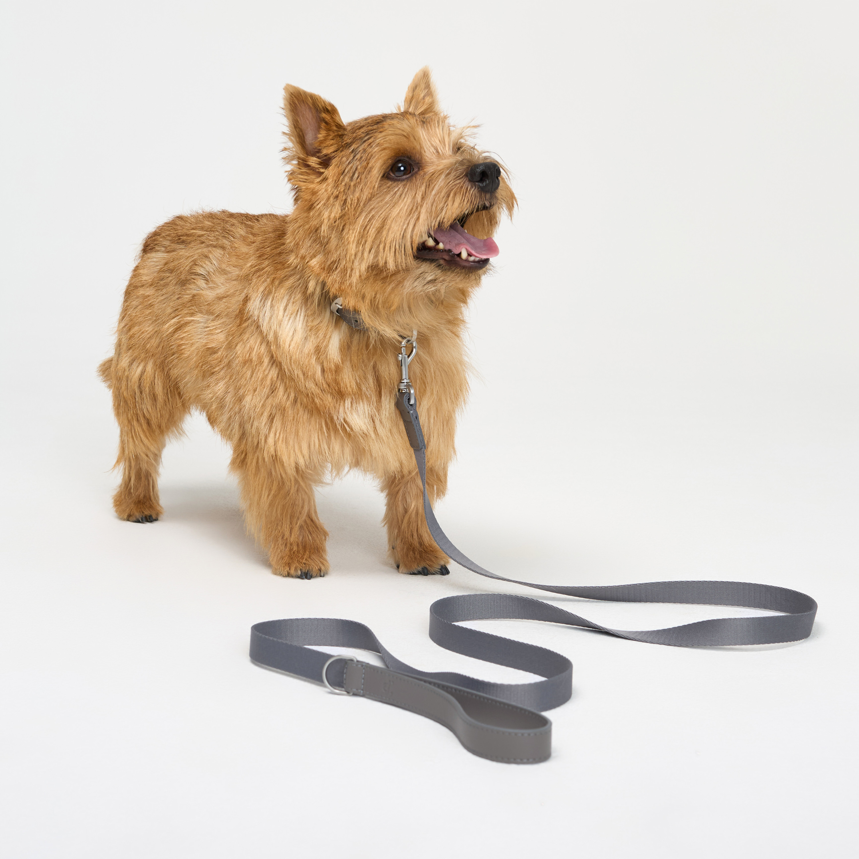 поводок комби