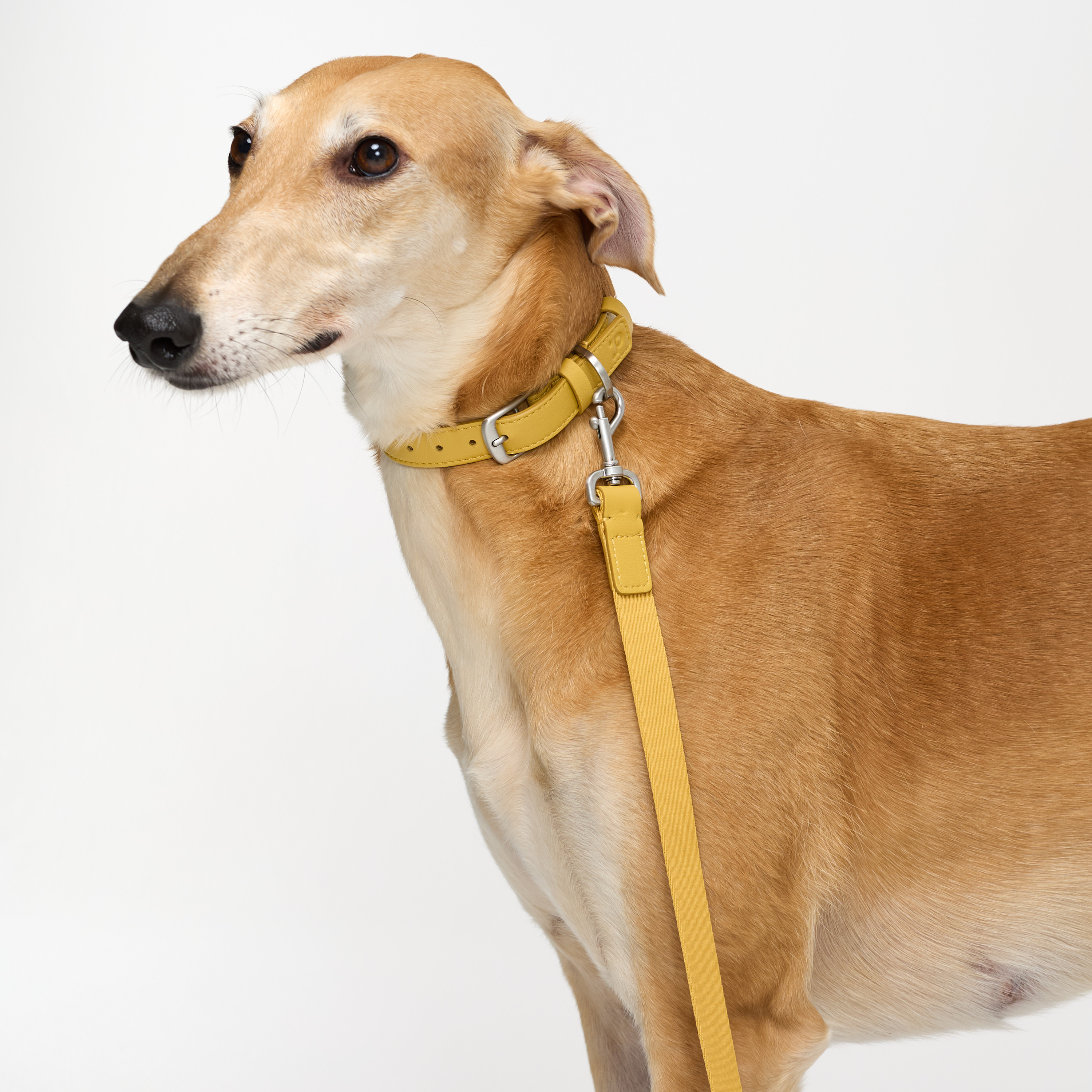 поводок комби