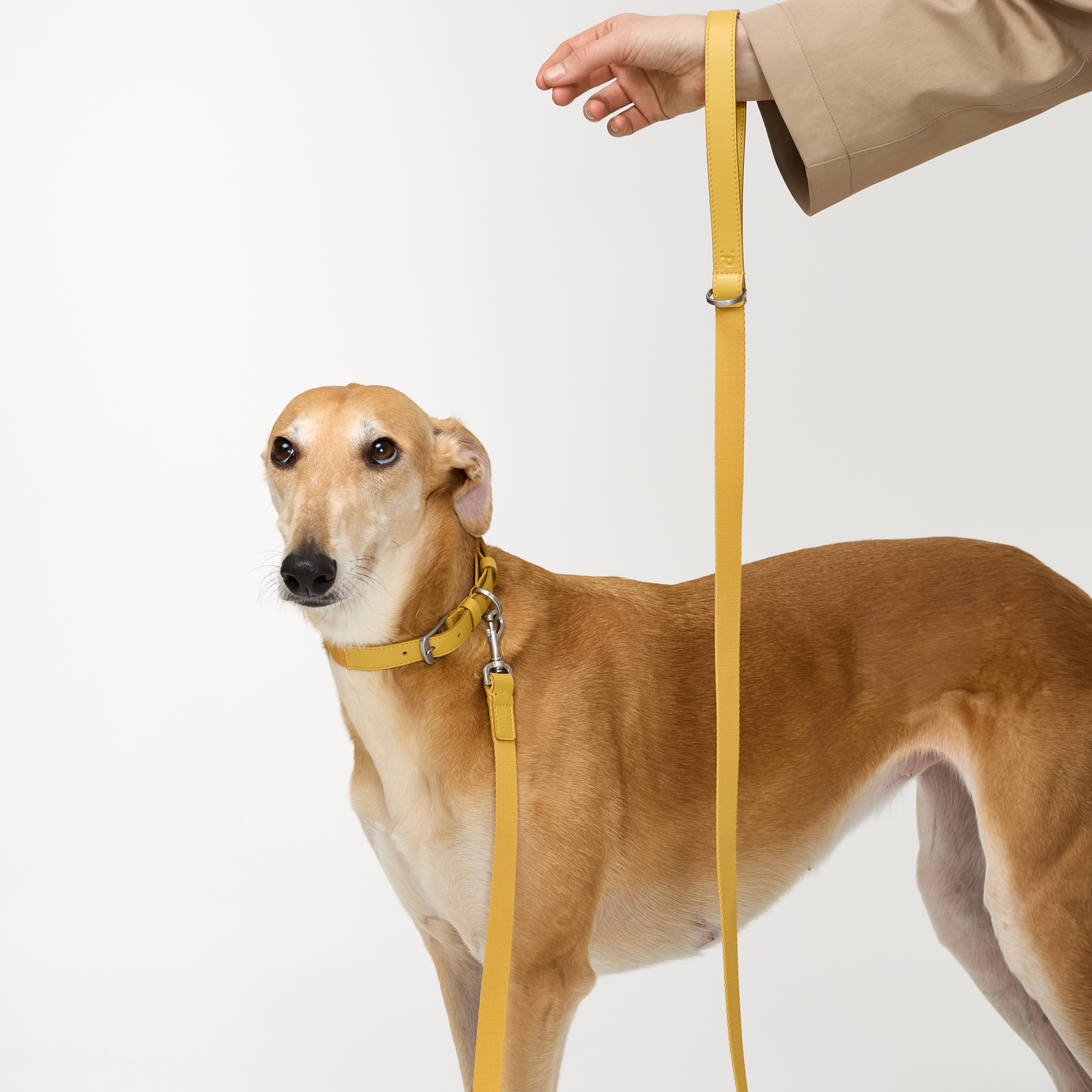 поводок комби