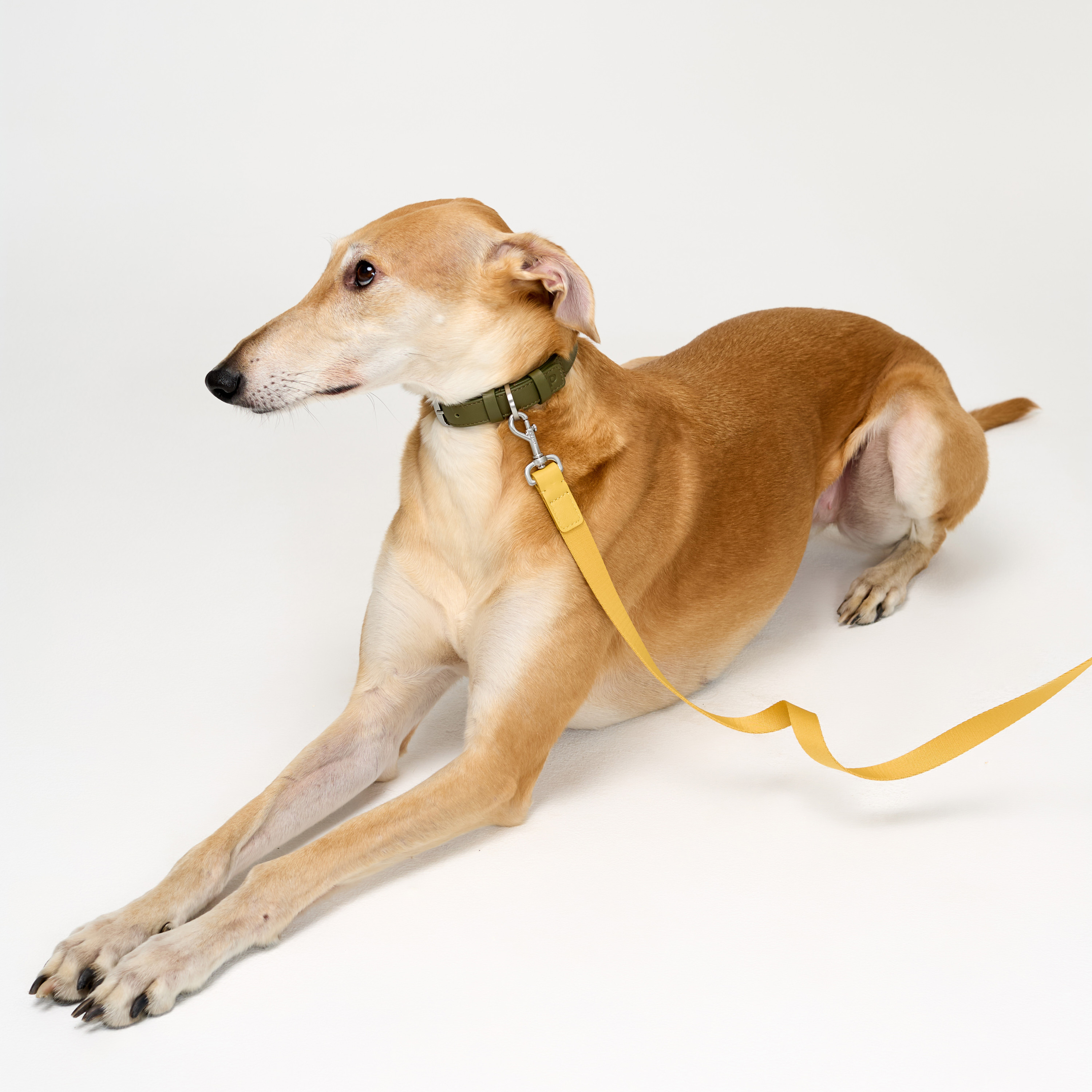 поводок комби