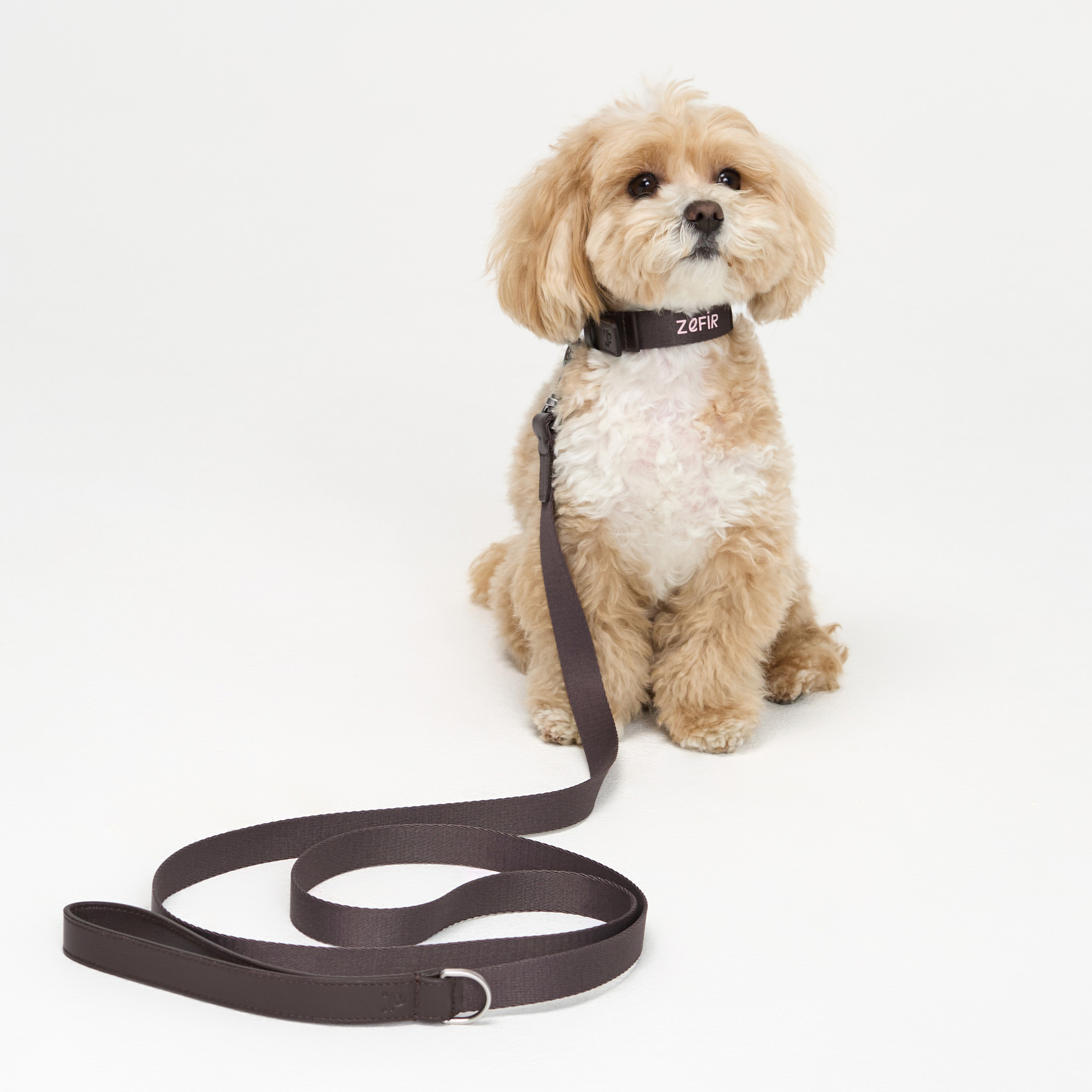 поводок комби