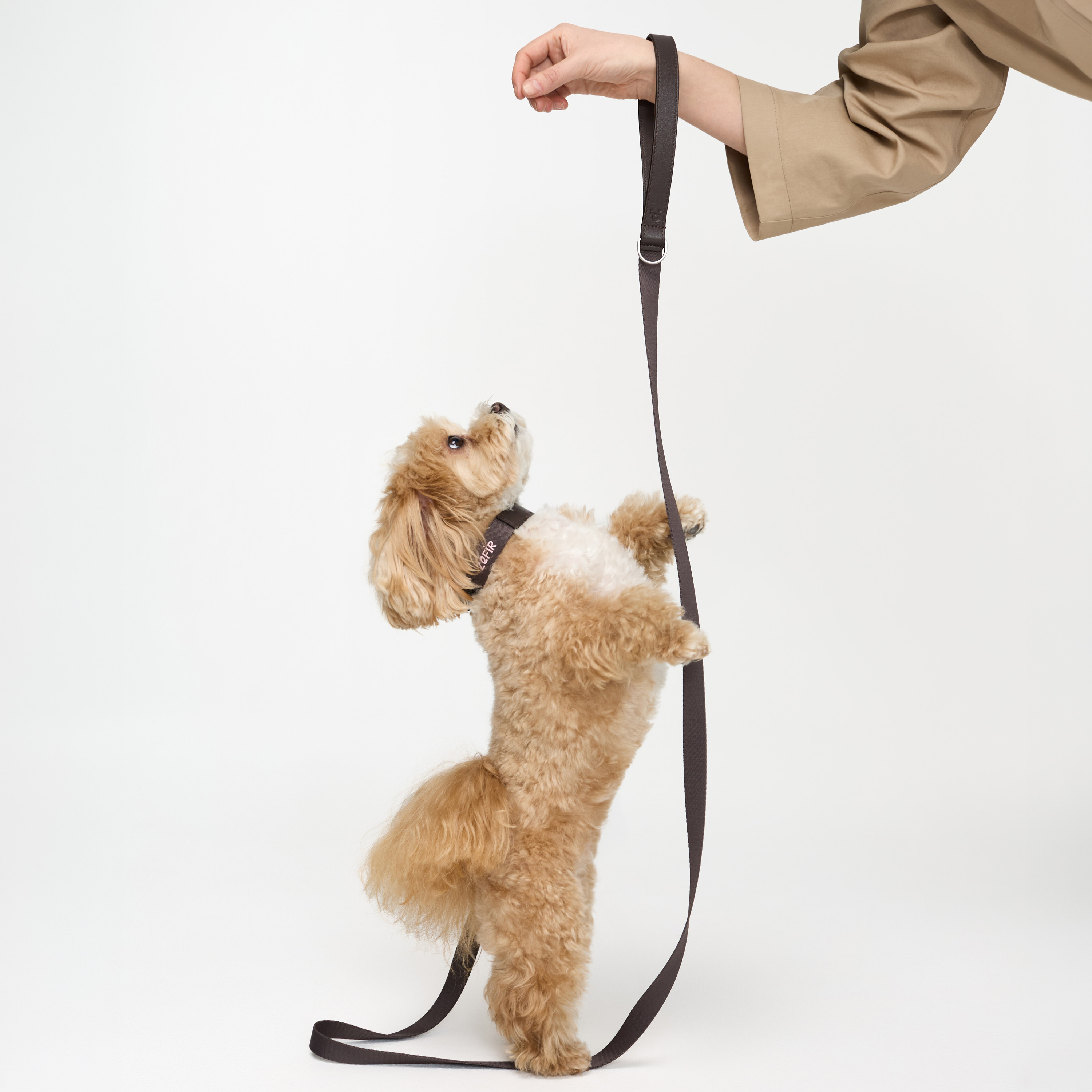 поводок комби