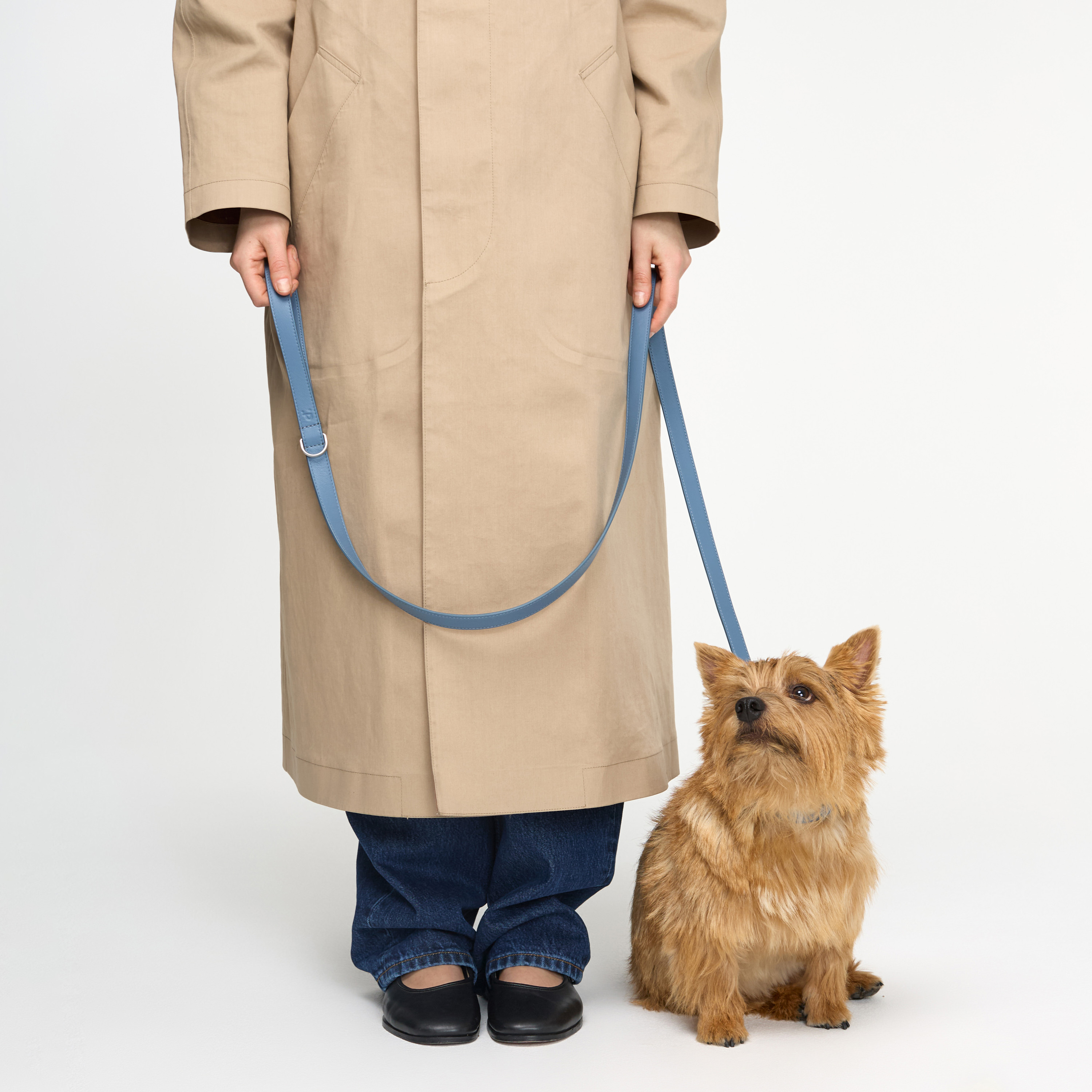 поводок кожа