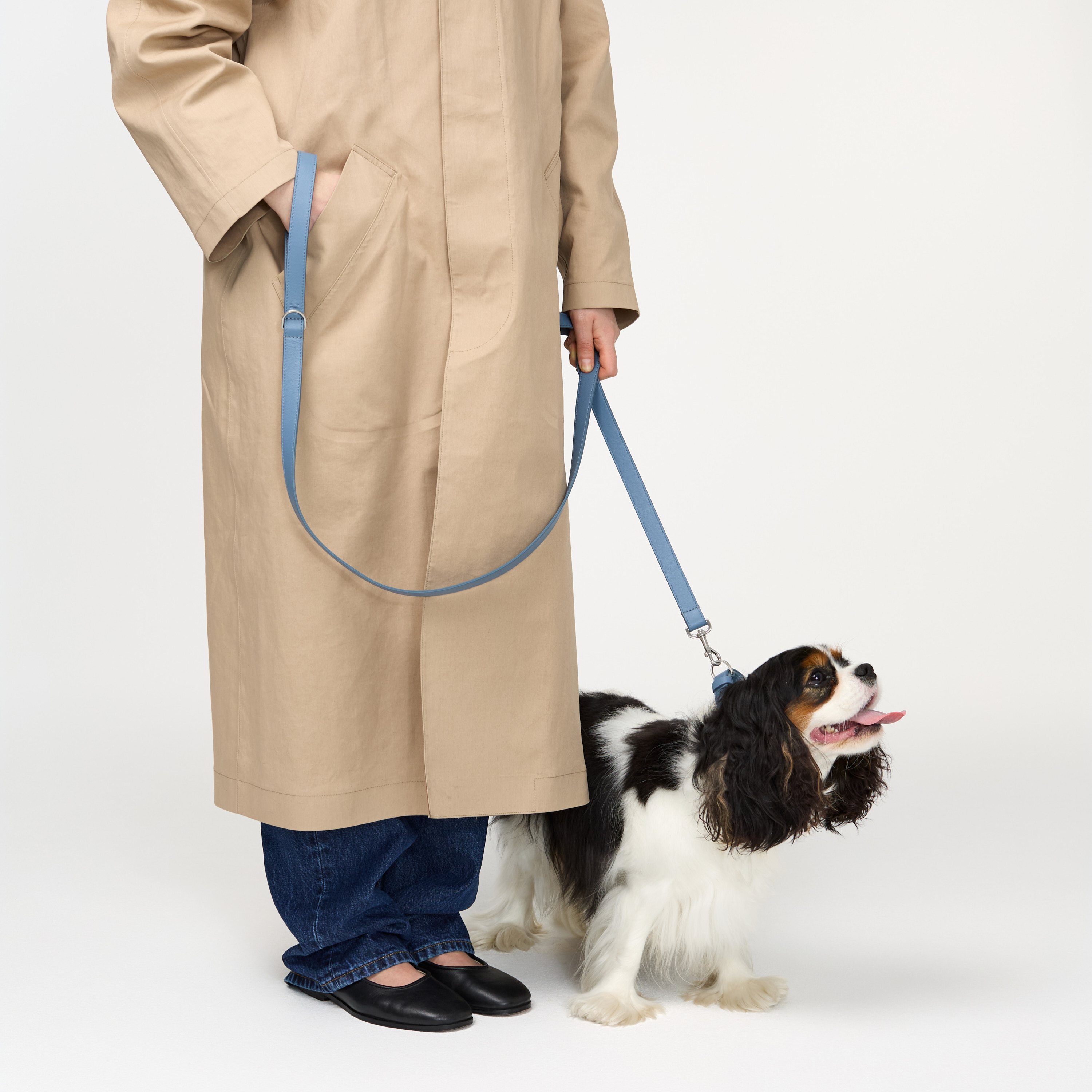 поводок кожа