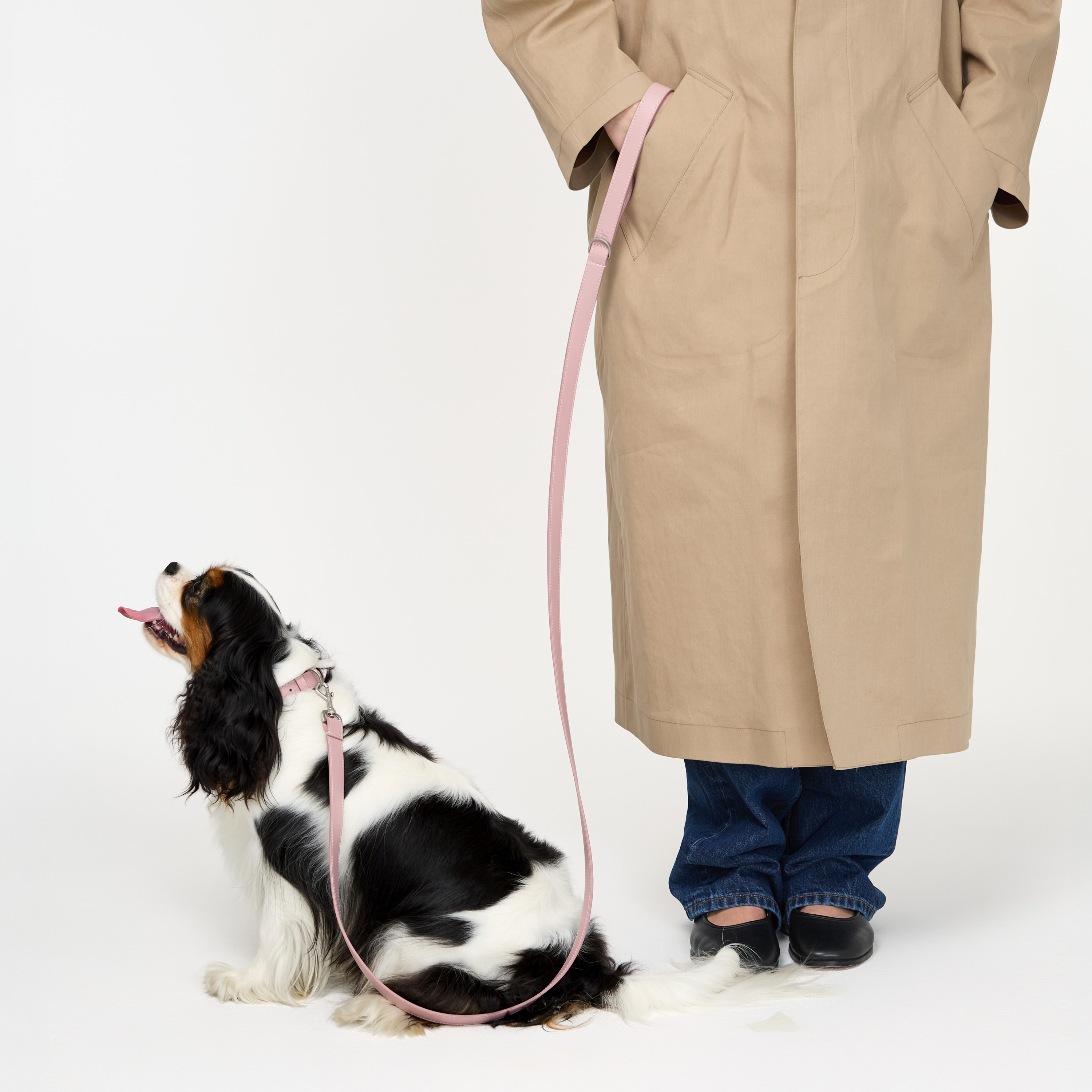 поводок кожа