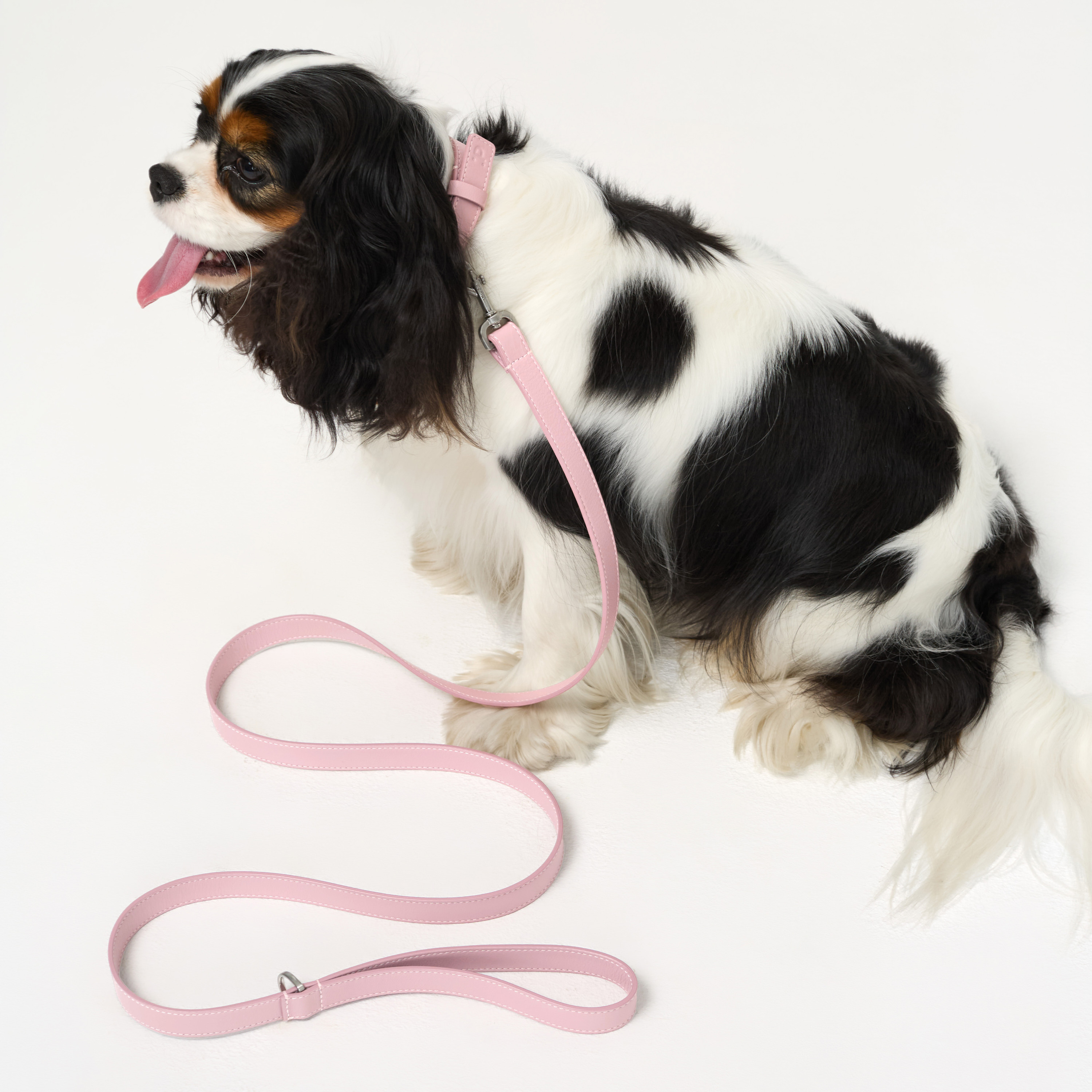 поводок кожа