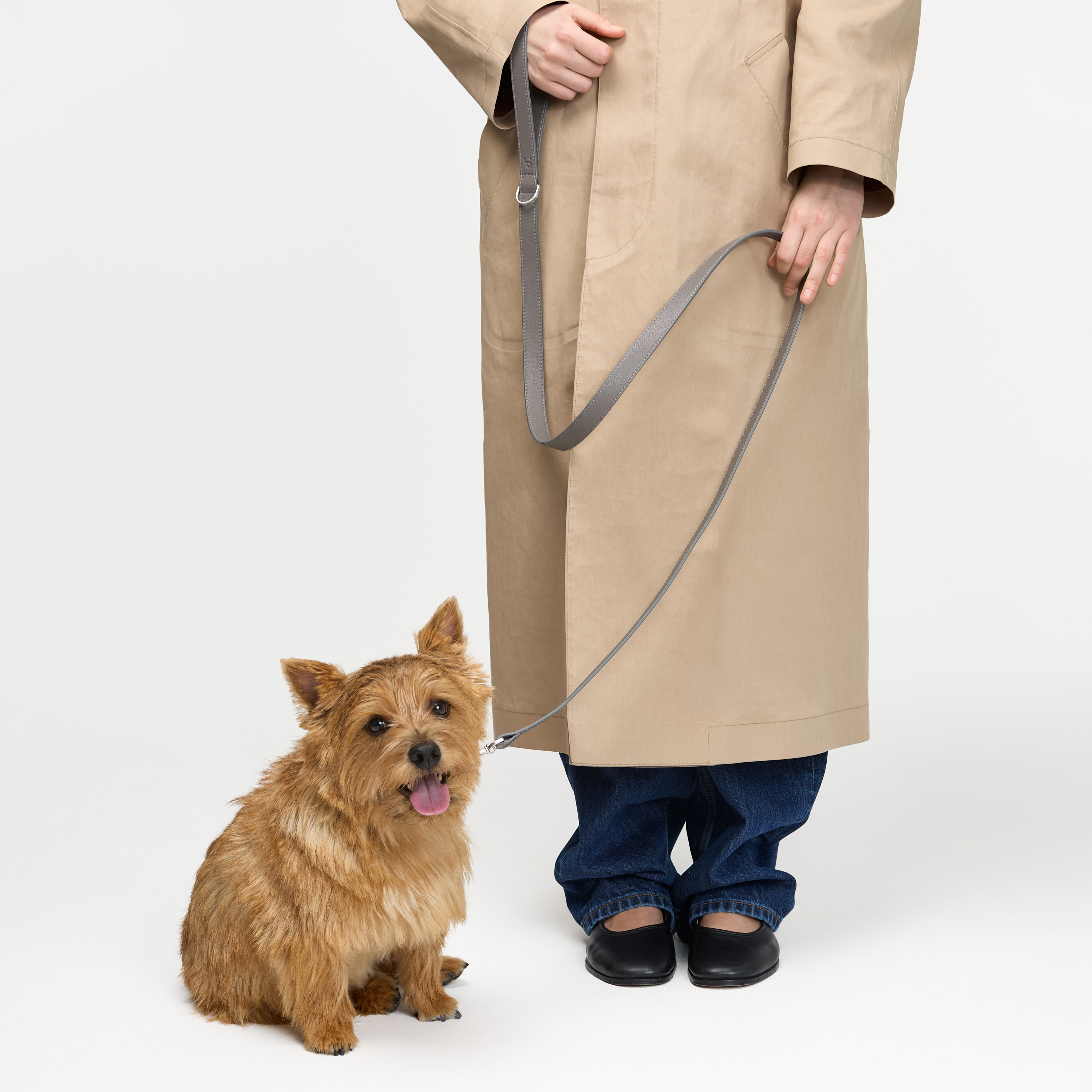 поводок кожа