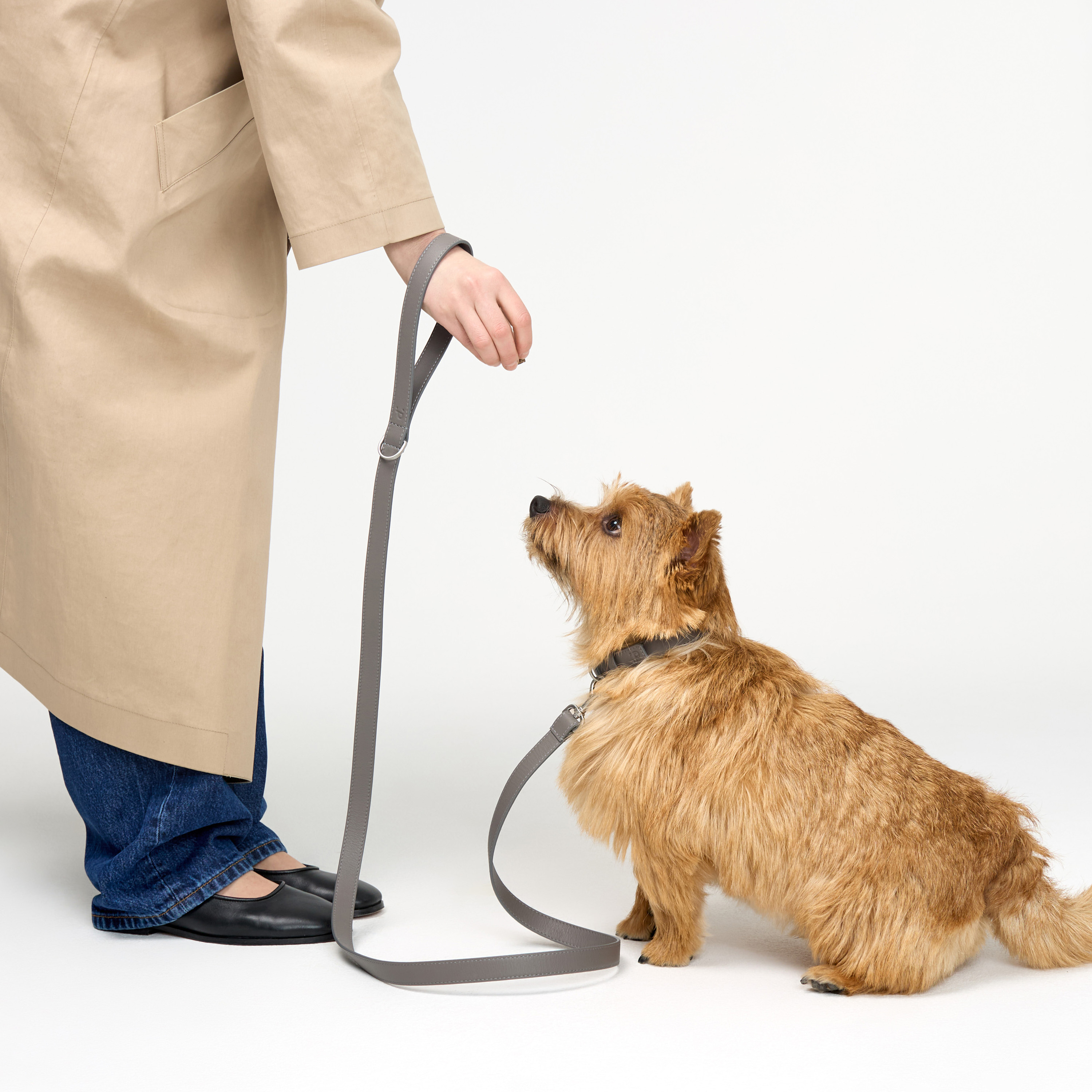 поводок кожа