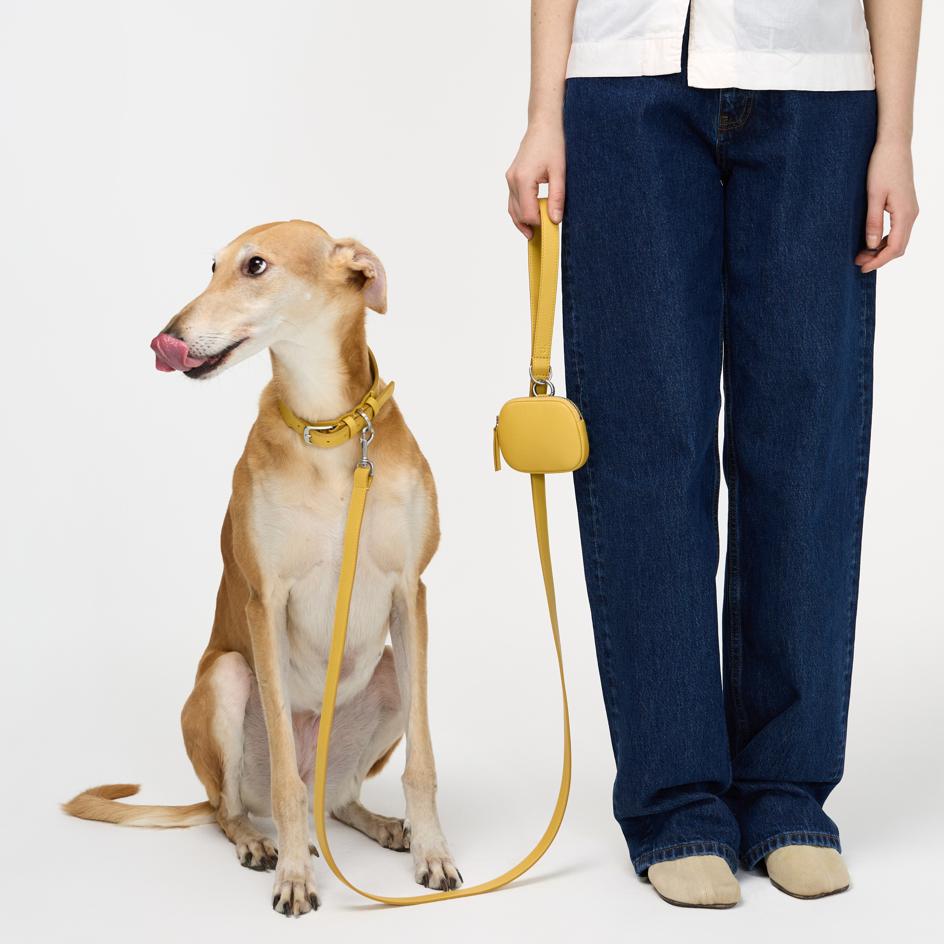 поводок кожа