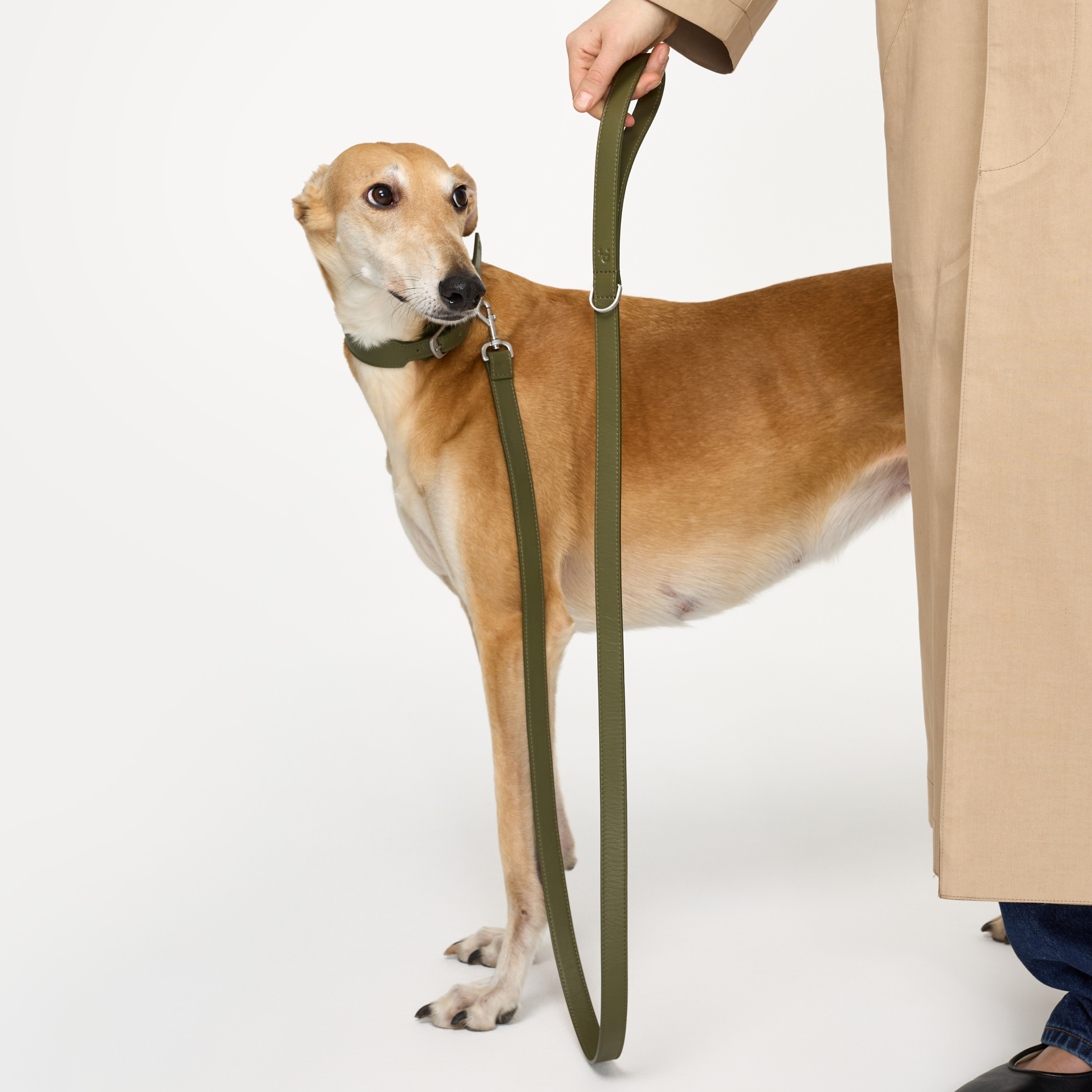 поводок кожа