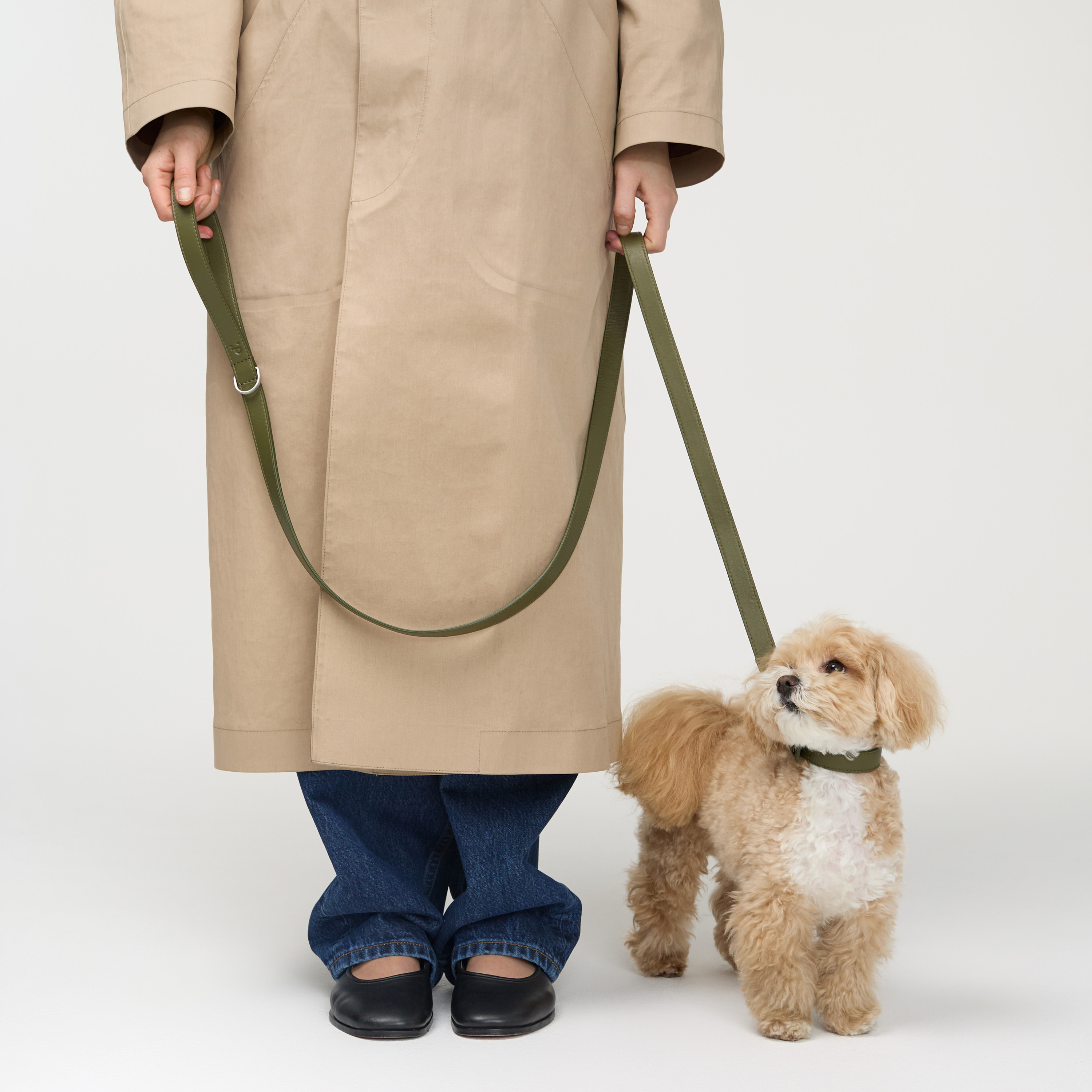 поводок кожа