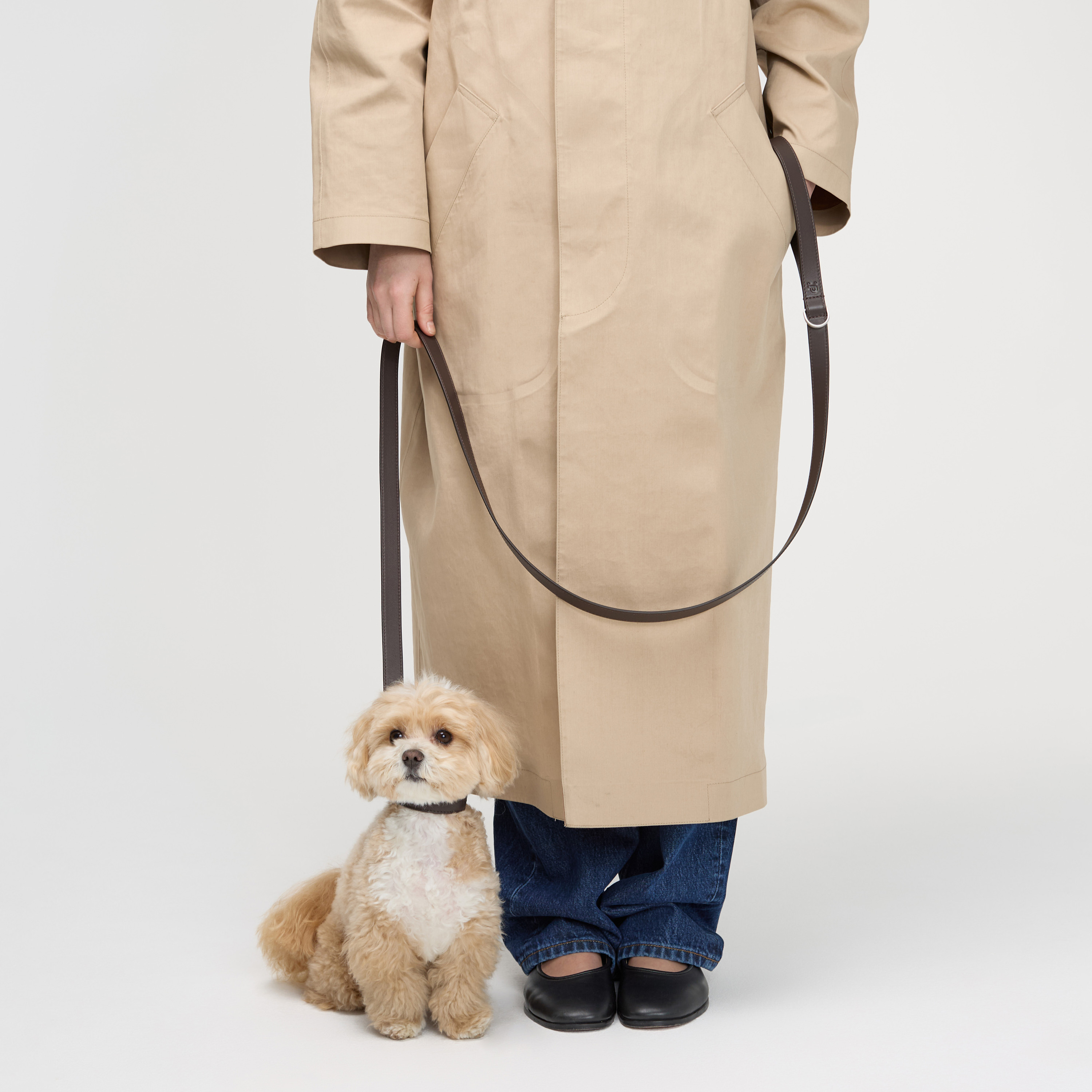 поводок кожа