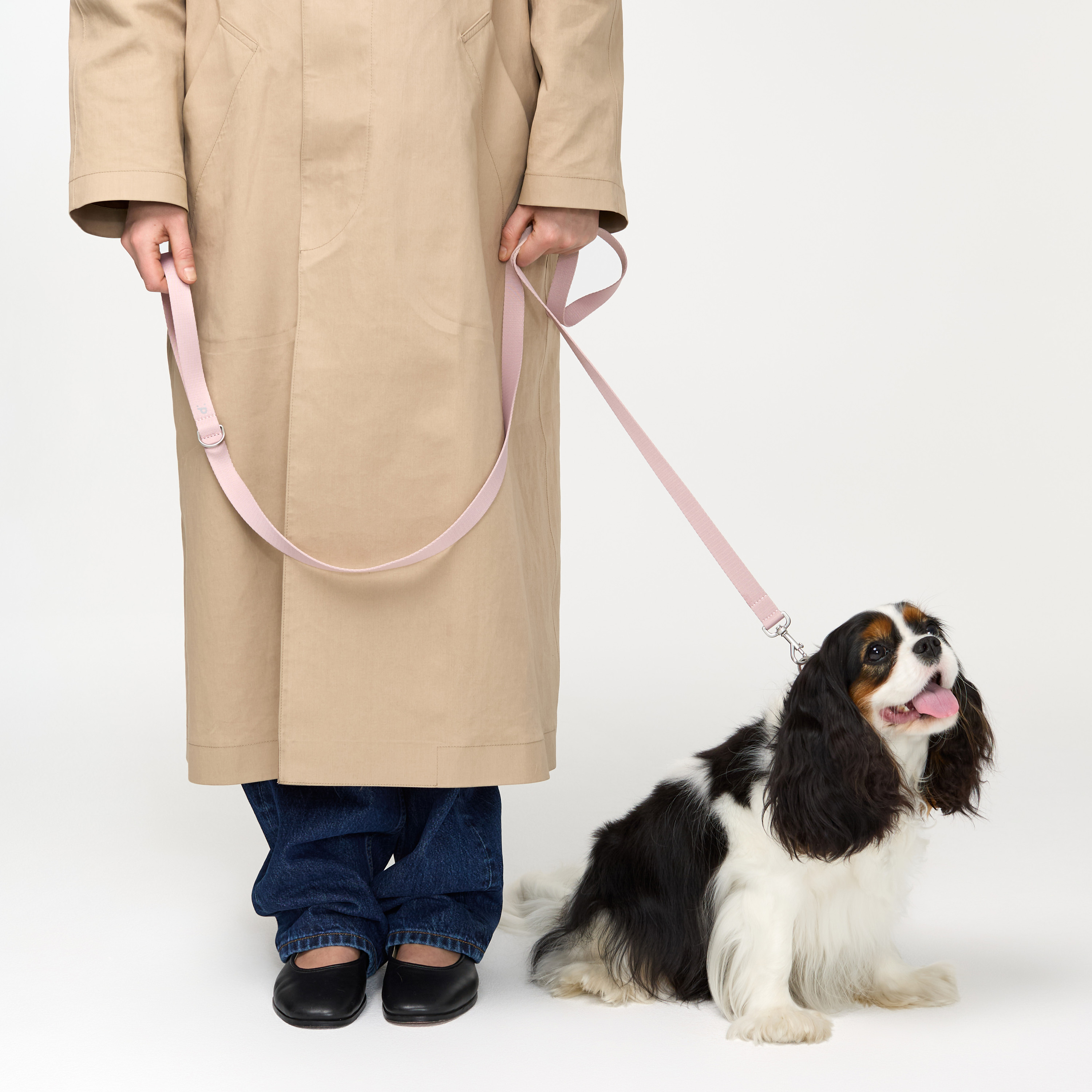 поводок стропа