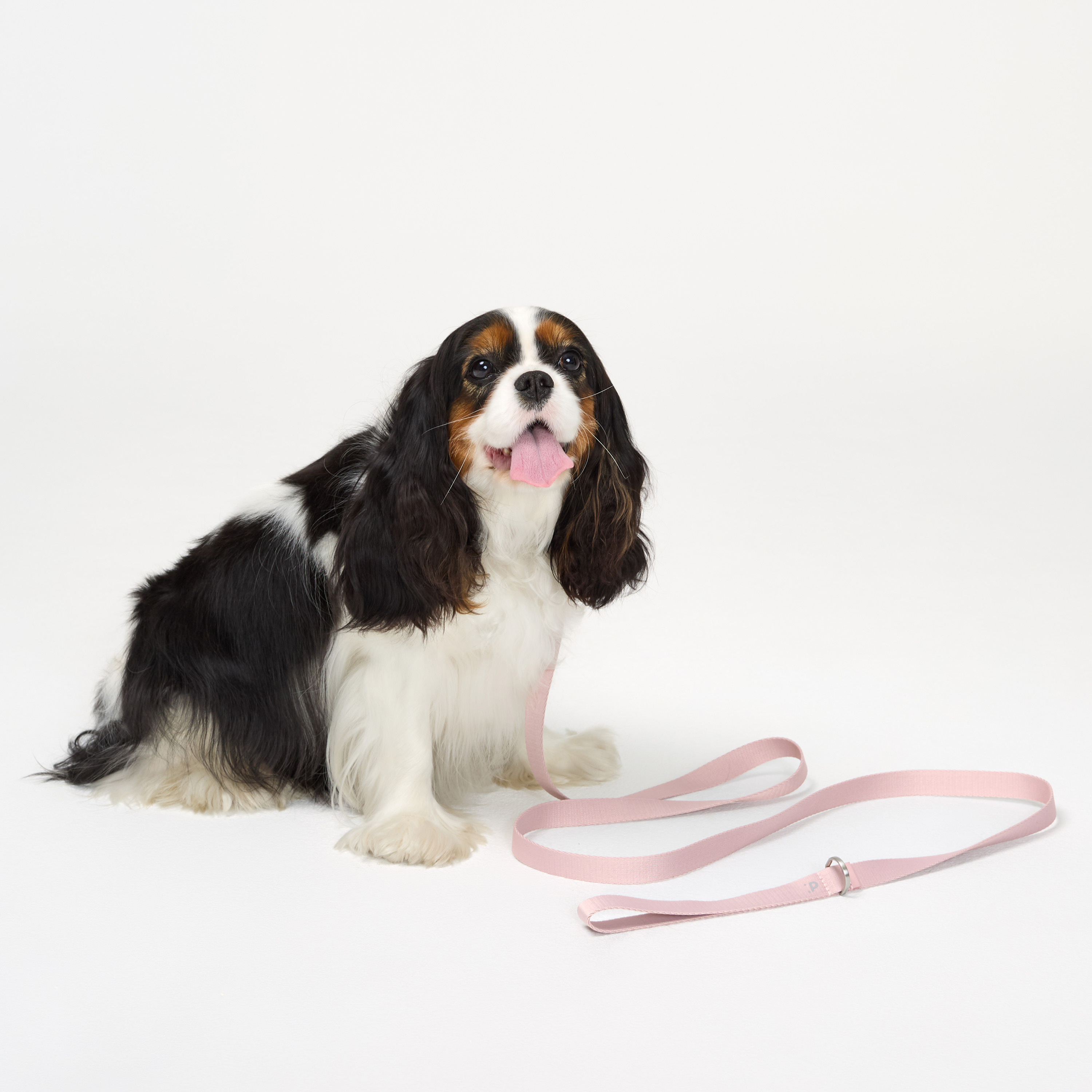 поводок стропа