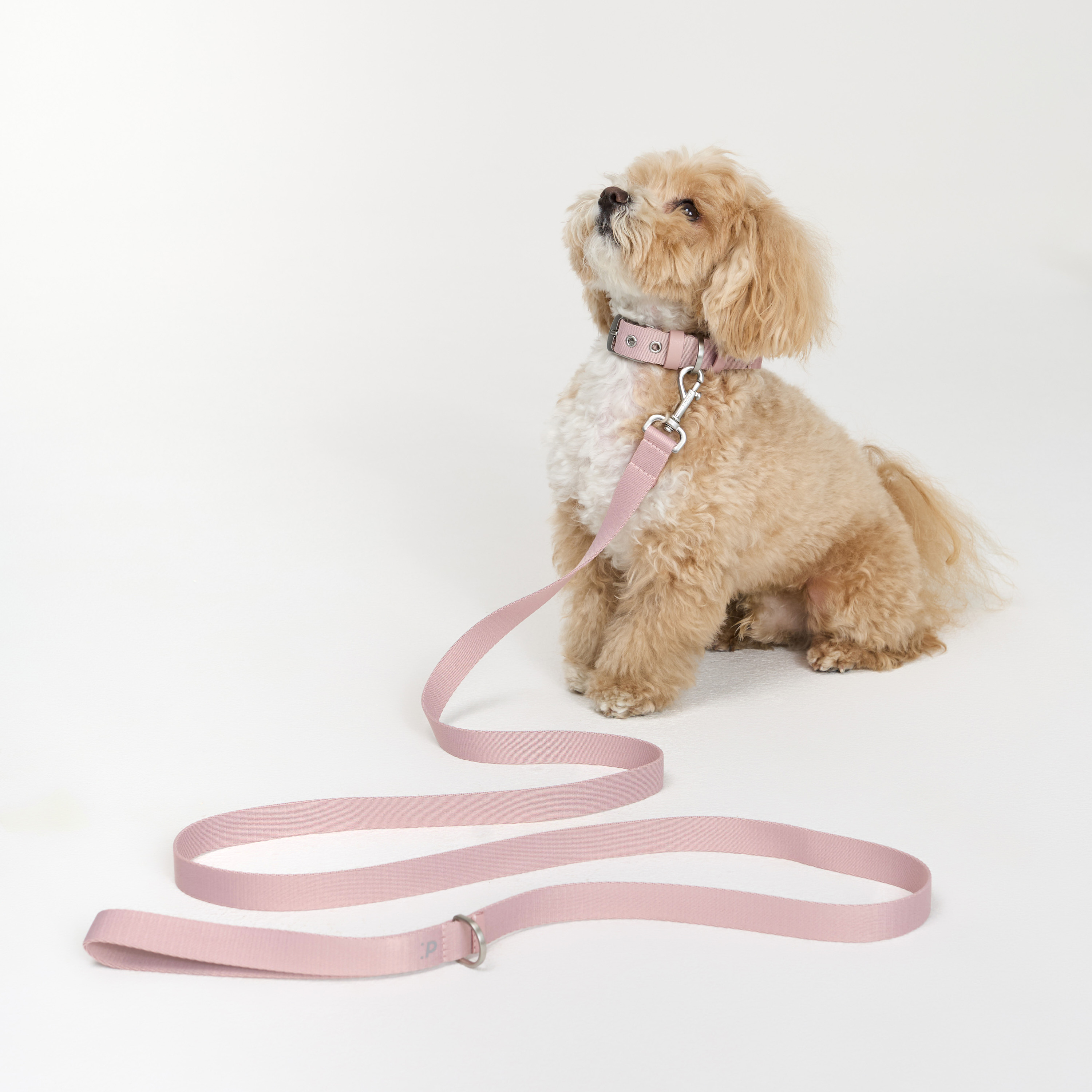 поводок стропа