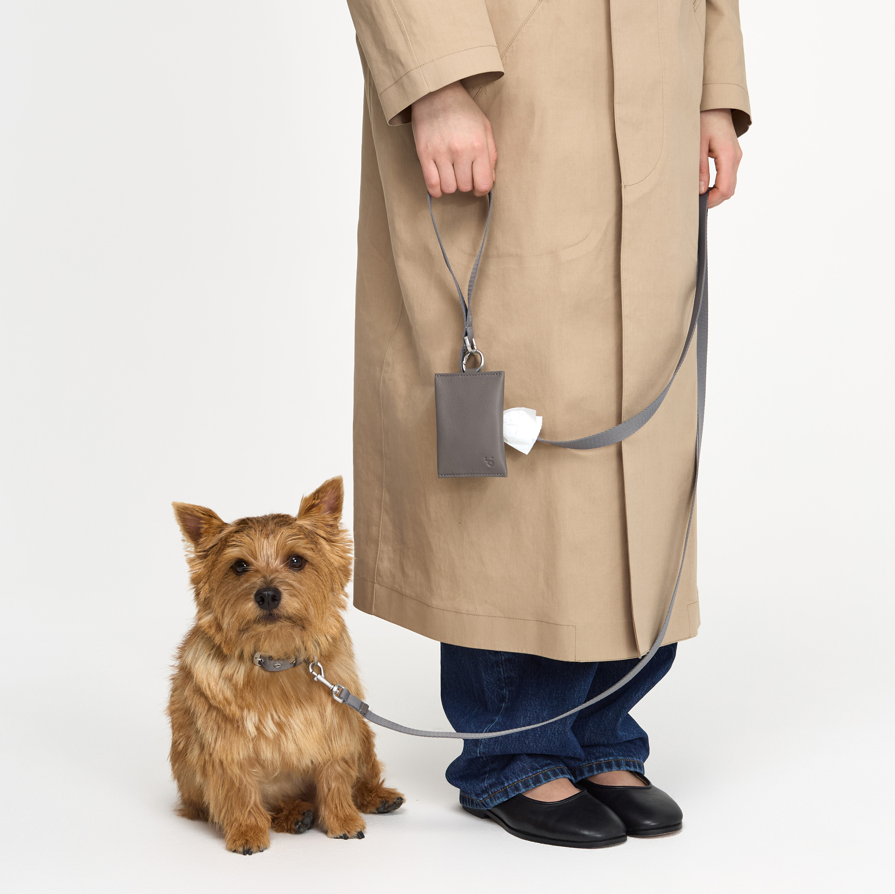 поводок стропа