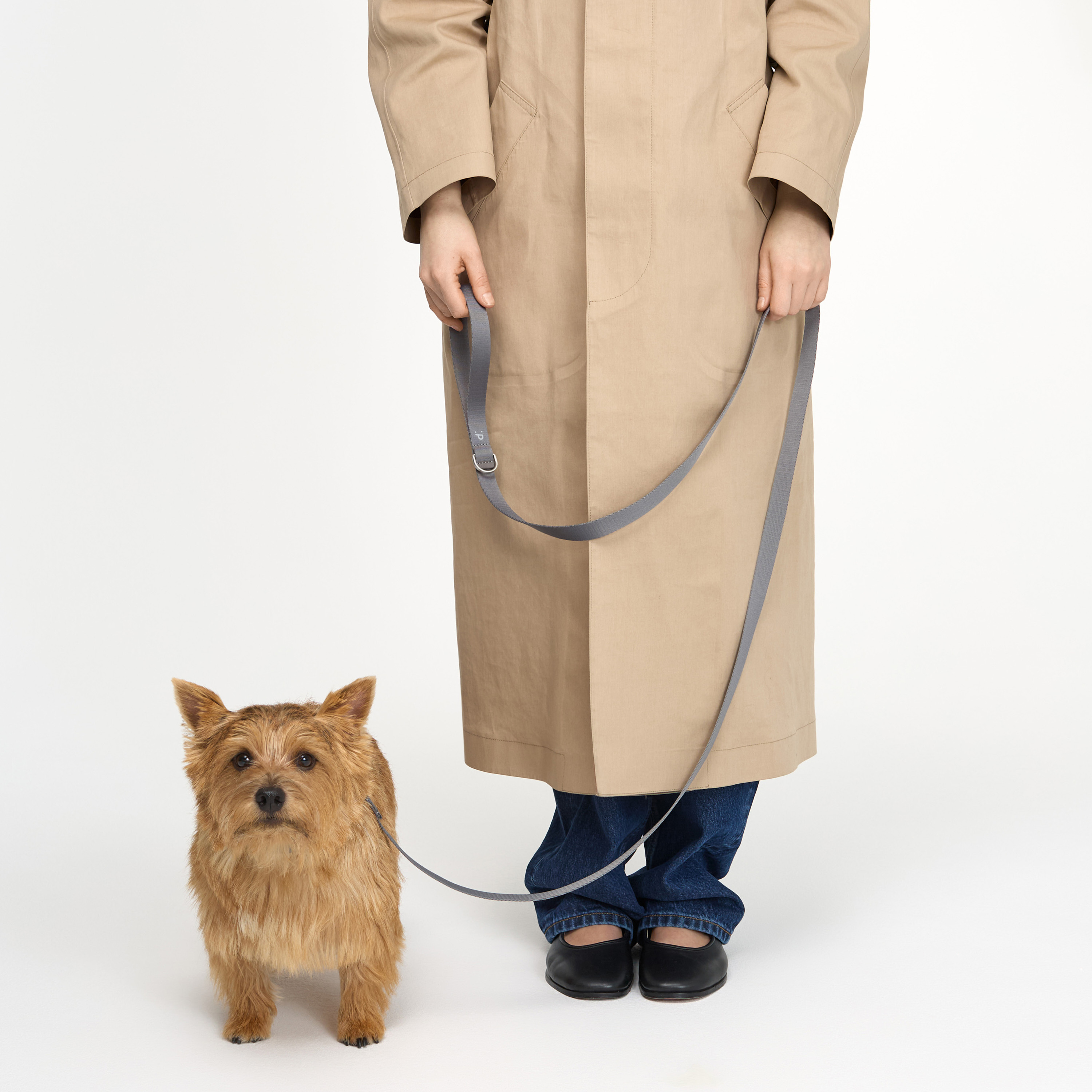 поводок стропа