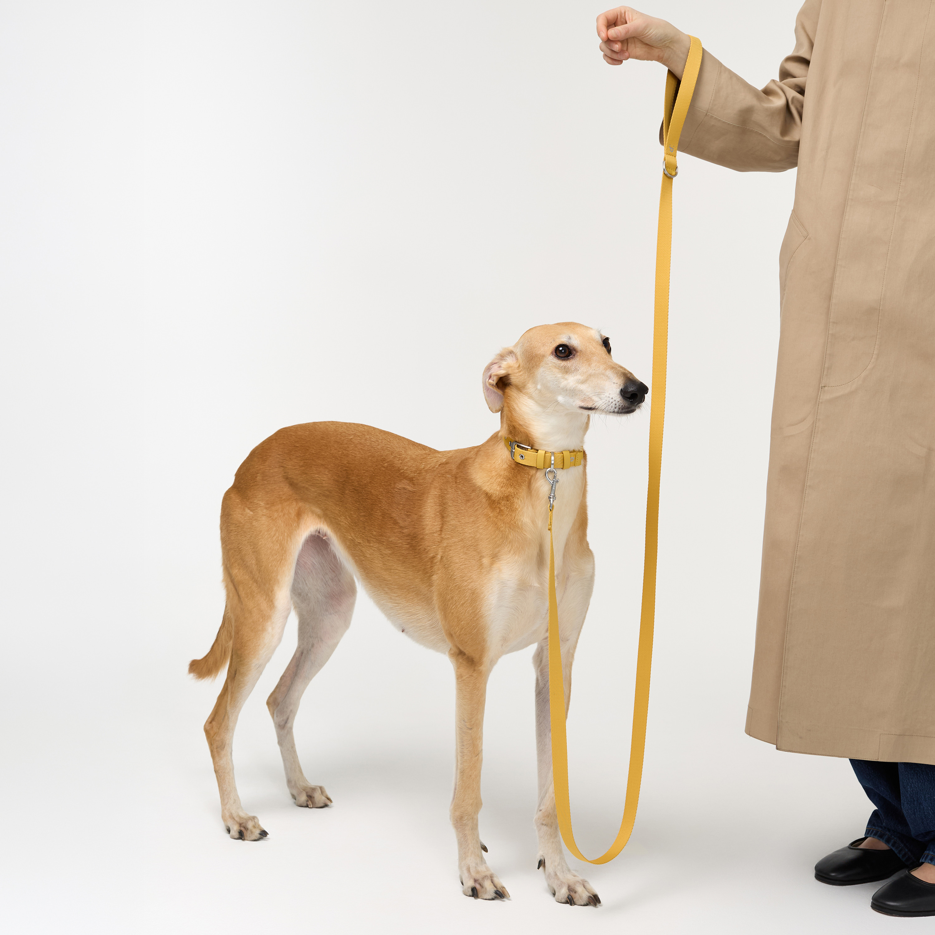 поводок стропа