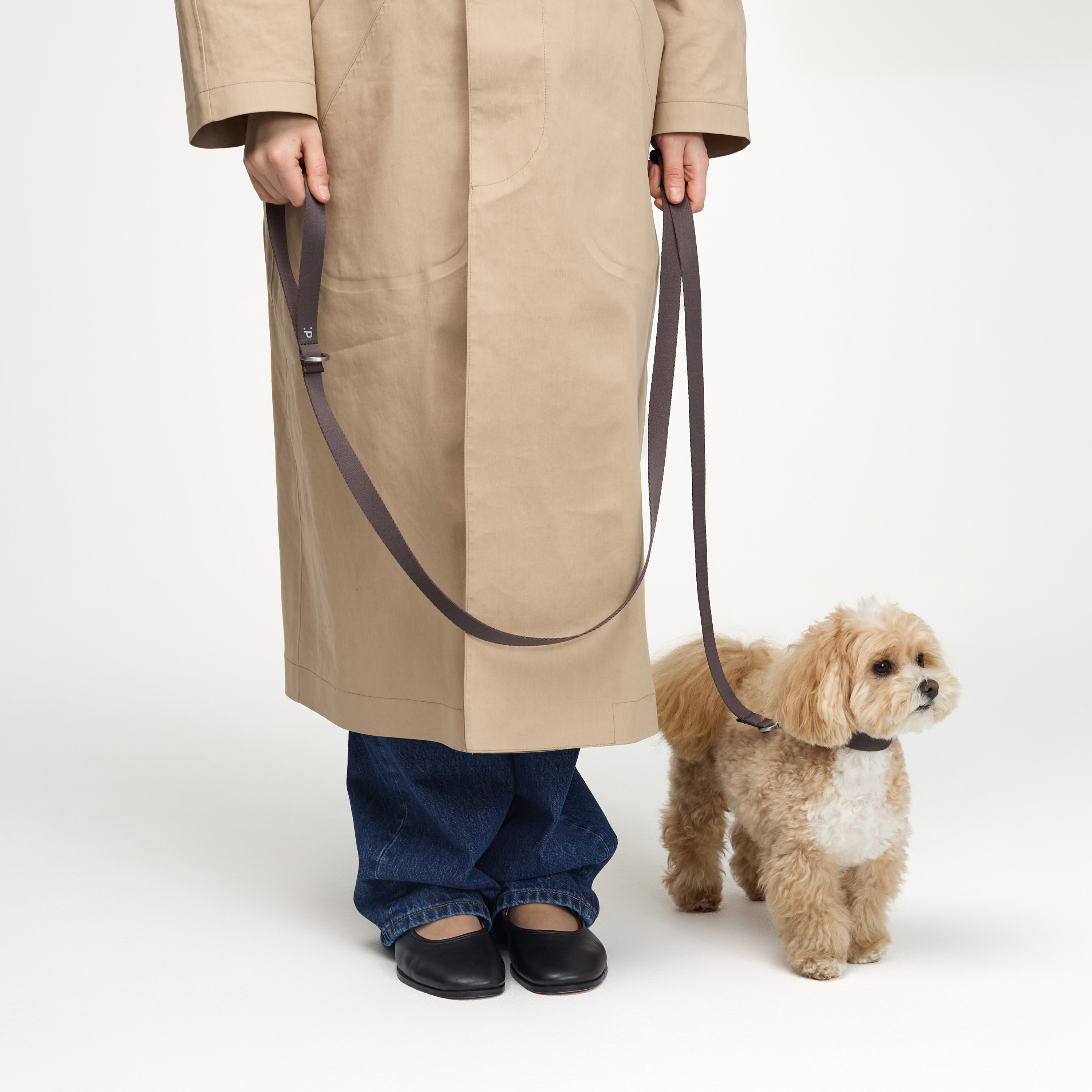 поводок стропа