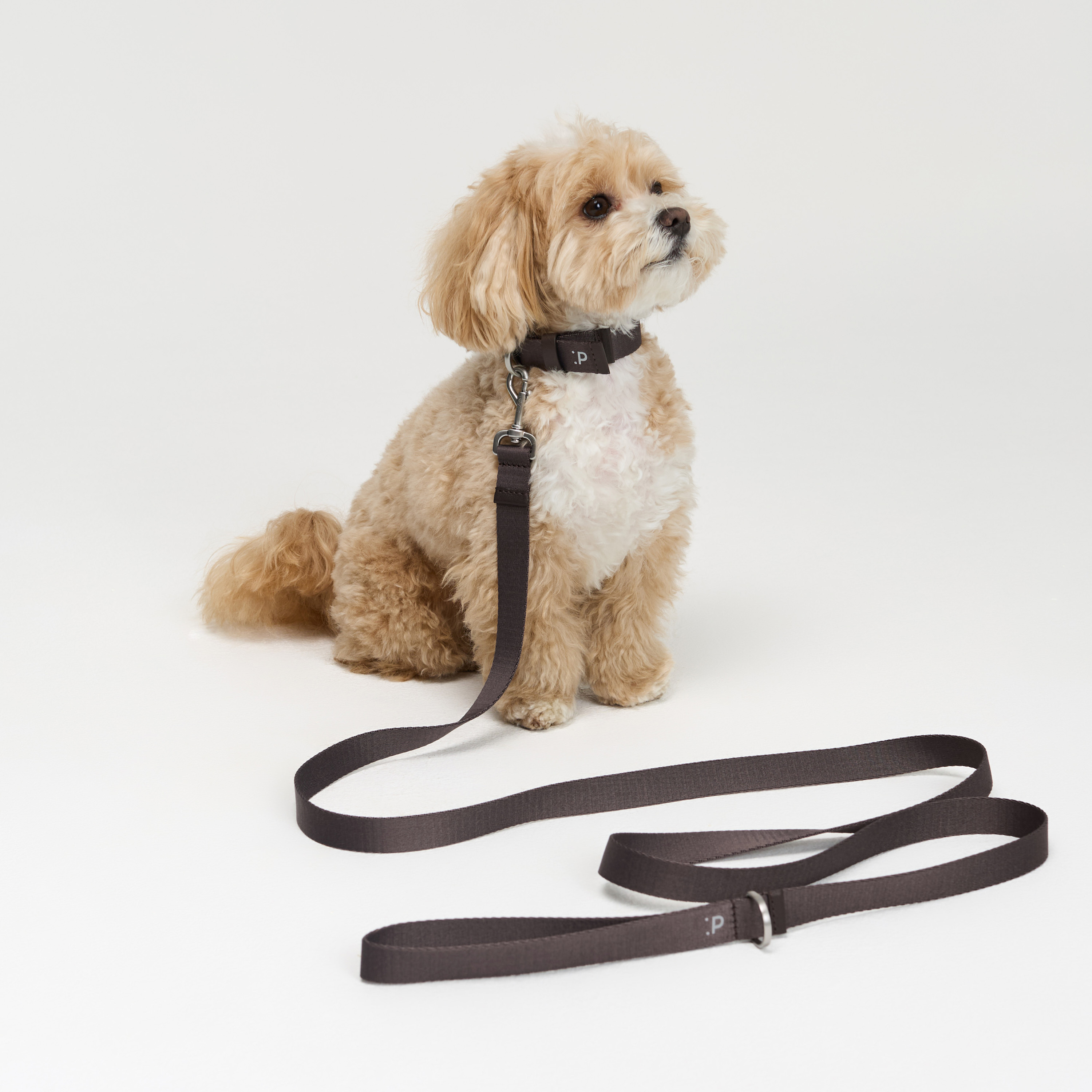 поводок стропа