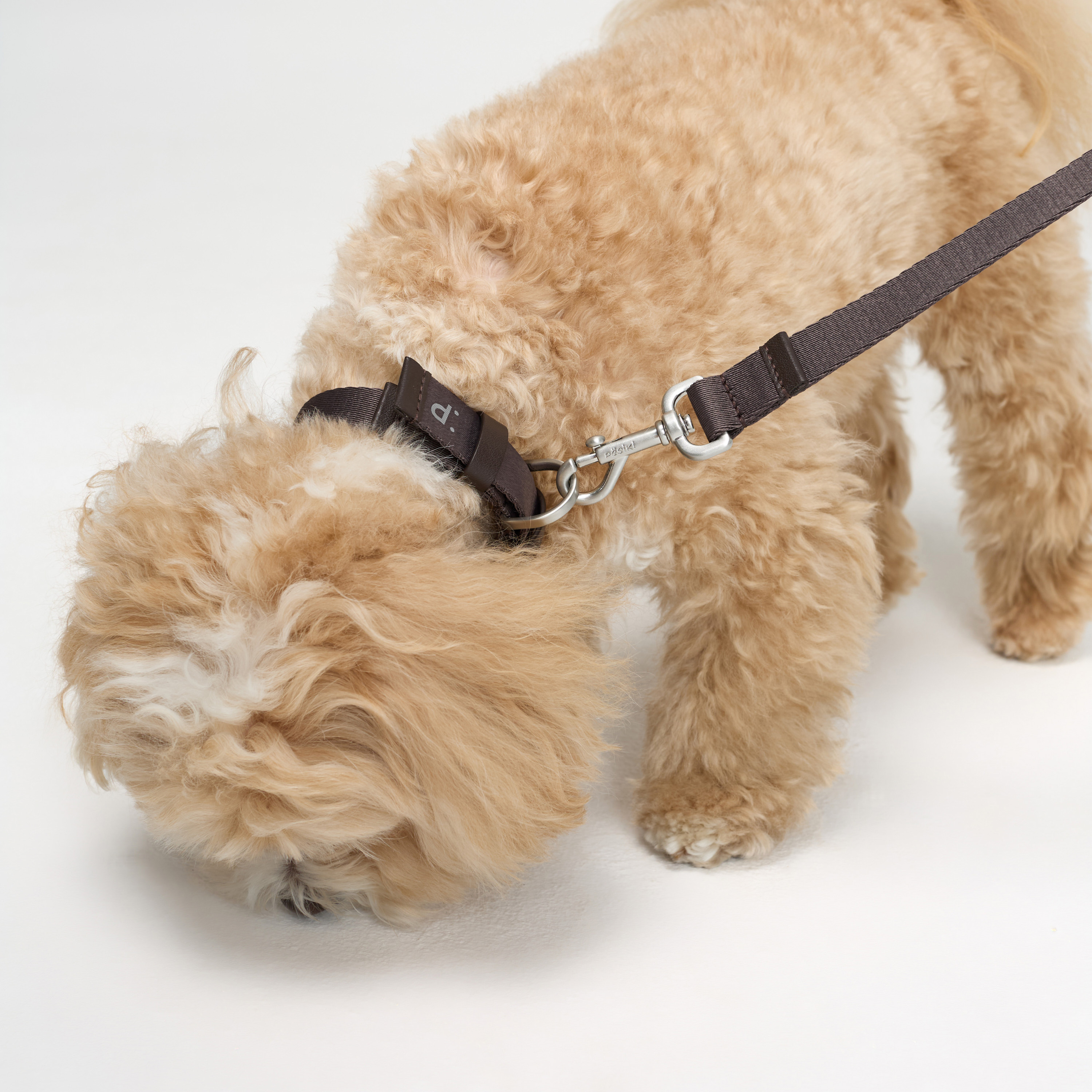 поводок стропа